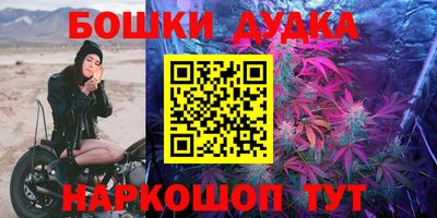 дживик Гатчина